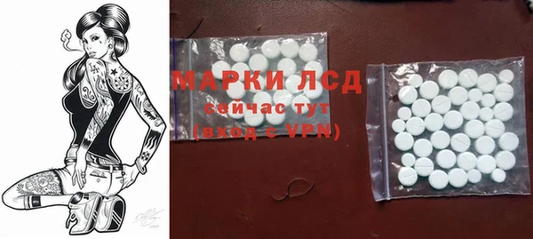 spice Арсеньев