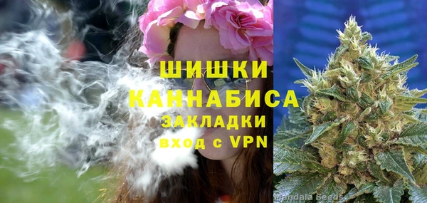 spice Арсеньев