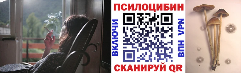 Галлюциногенные грибы мицелий  Купить закладки  Благодарный 